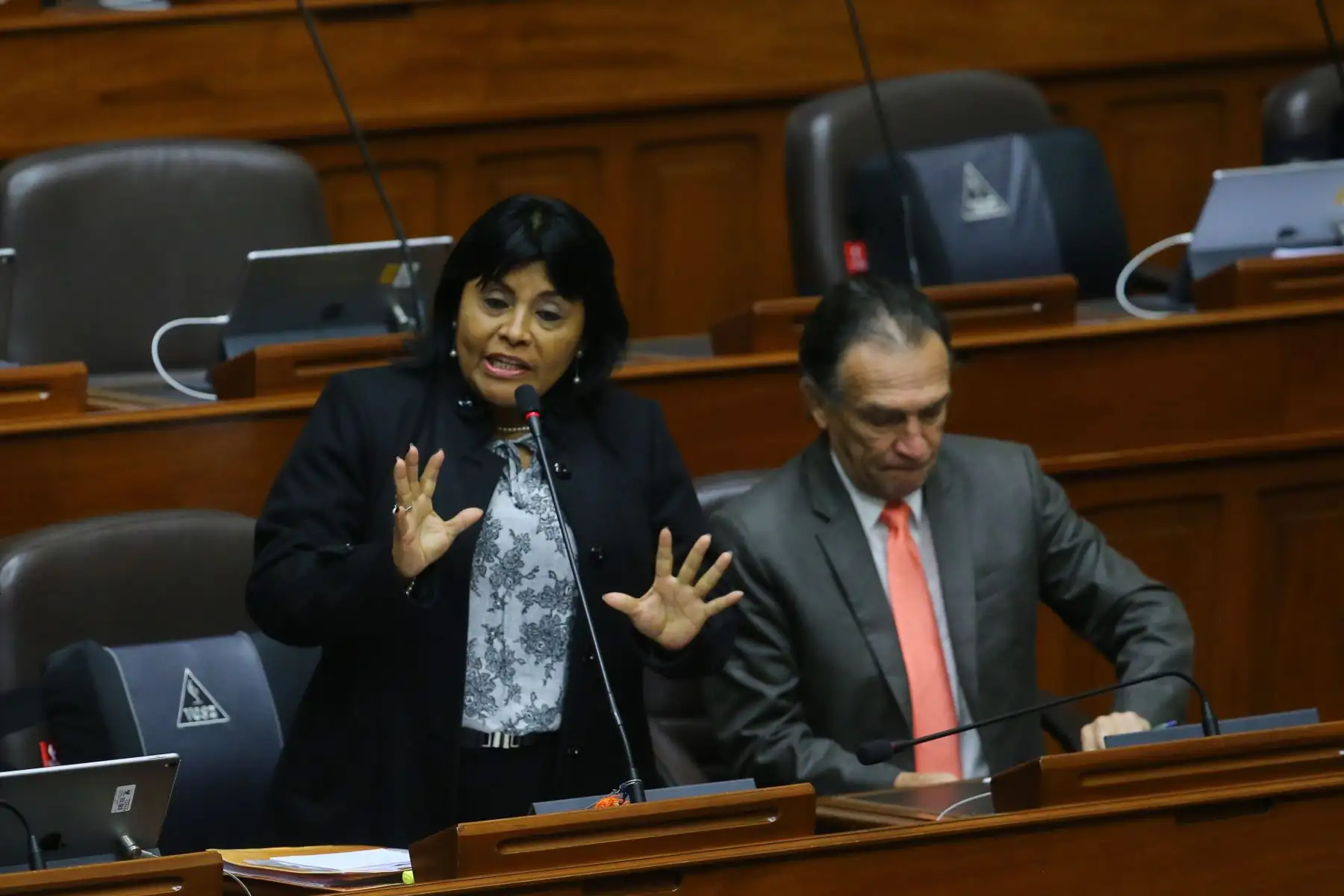Congresista Esther Saavedra interviene en el debate por cuestión de confianza que se reanuda en el Congreso.
Foto: ANDINA/Vidal Tarqui