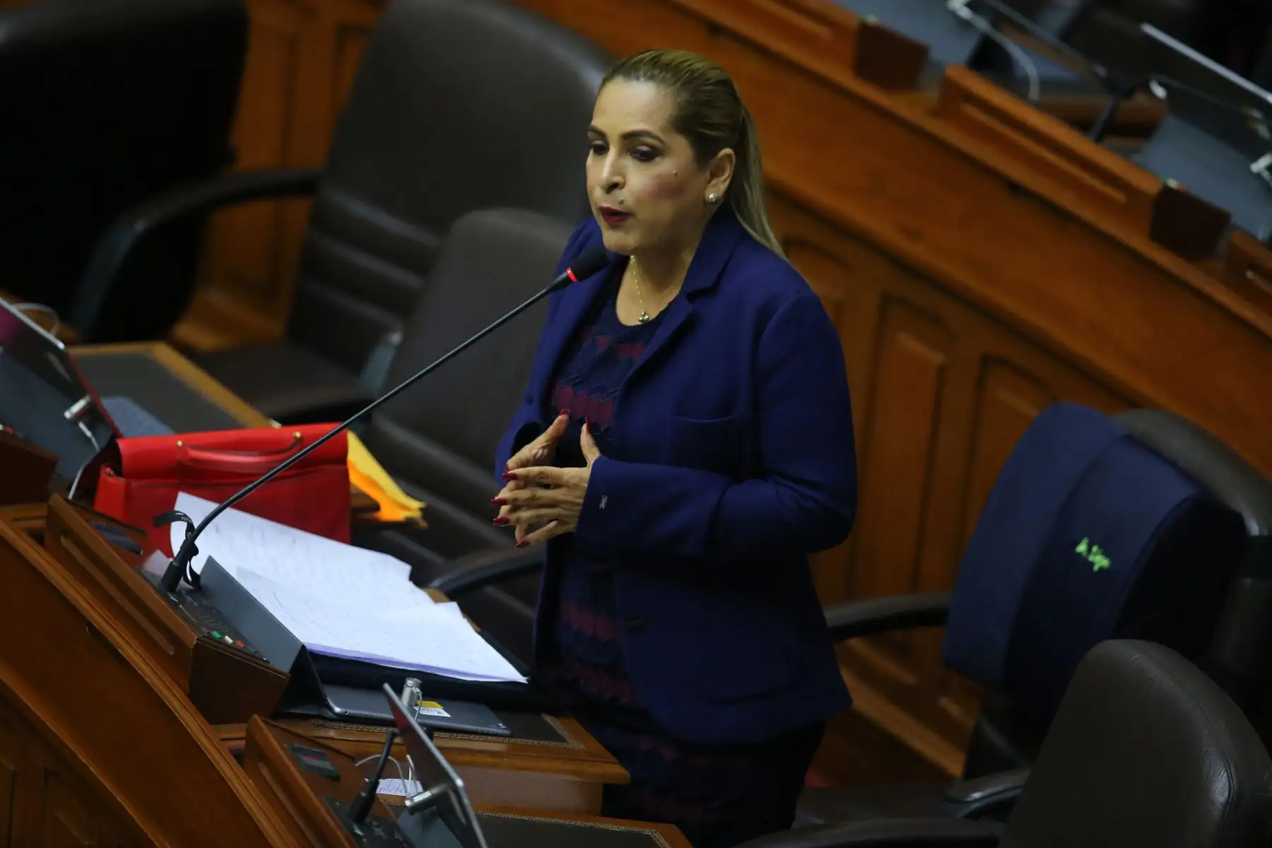 Congresista Maritza Garcia interviene en el debate sobre la cuestión de confianza en el Congreso de la República. Foto: ANDINA/Vidal Tarqui