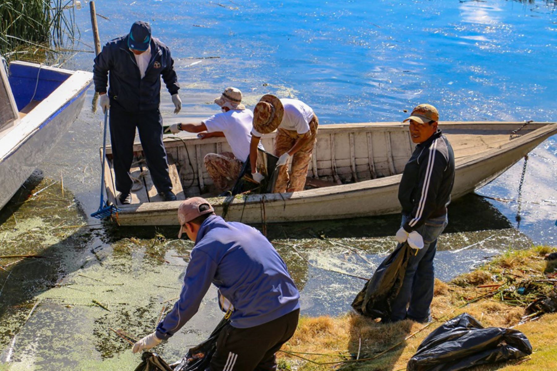 Voluntarios recogen 120 toneladas de residuos sólidos de la ribera del lago Titicaca, en Puno. ANDINA/Difusión