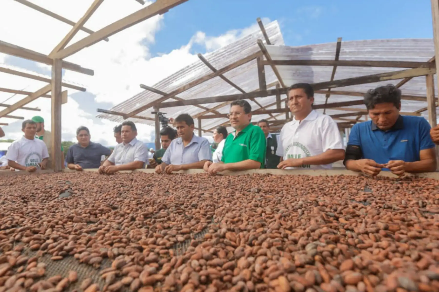 Más de 350 familias de La Perla, Yanajanca, Nuevo Circuito, Dorado, Tamish, Camunguillo y Santa Rosa de Alto Yanajanca, en la provincia de Marañón, se beneficiarán con asistencia técnica.