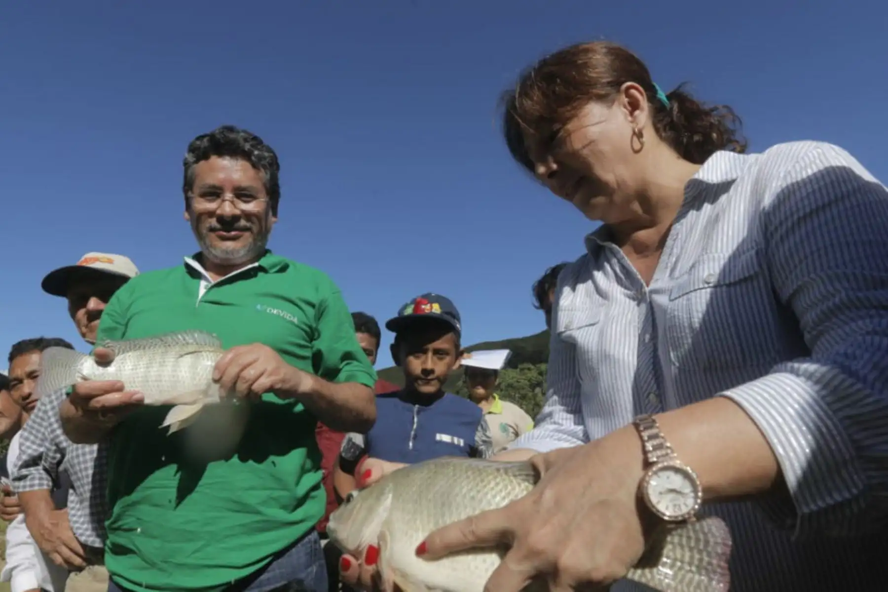 En Uchiza brindarán asistencia técnica en 33,247 metros cuadrados de espejo de agua en 37 caseríos, para impulsar la cadena de valor de productos alternativos sostenibles de la actividad piscícola.