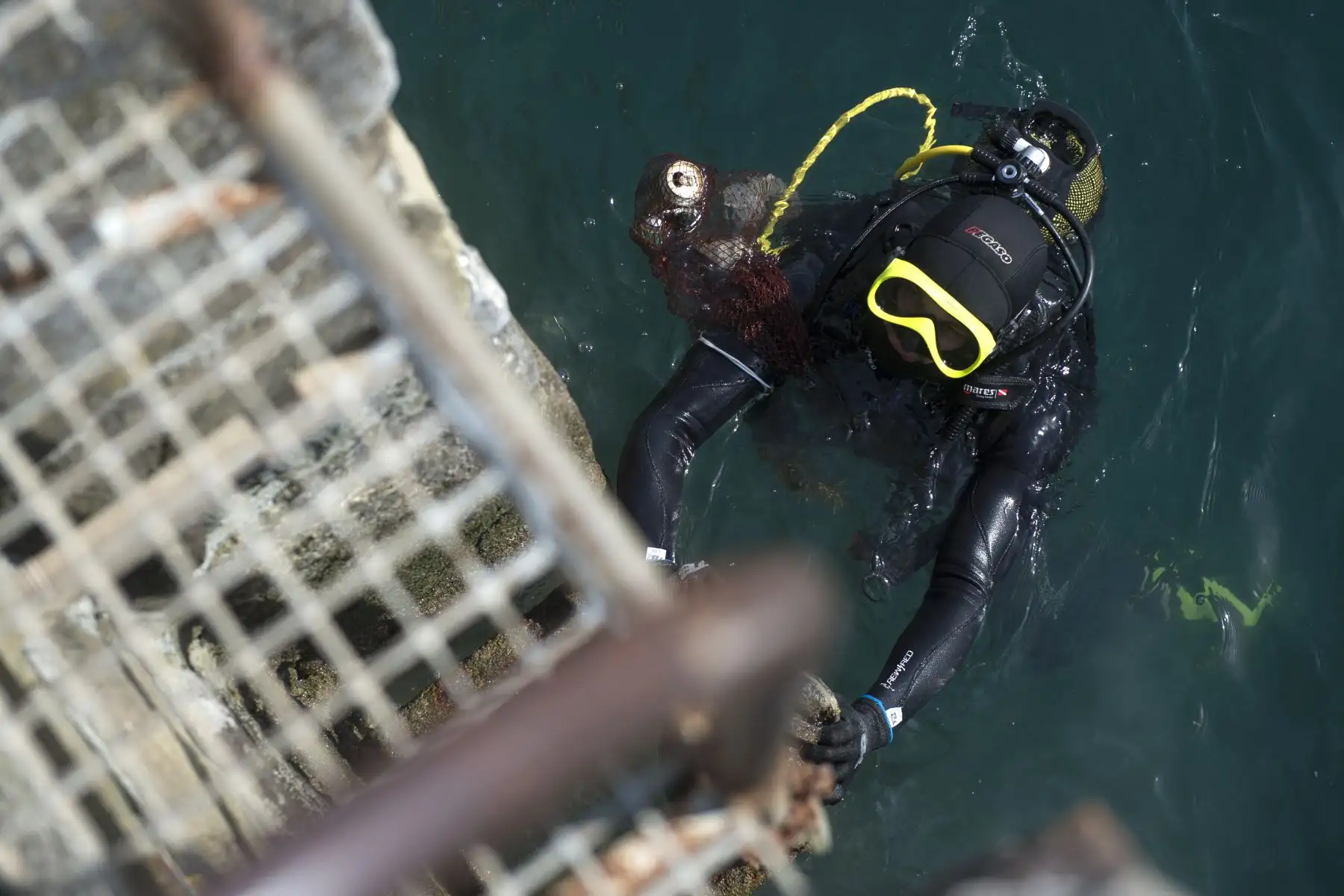 Un buceador regresa a la superficie del agua después de recoger plástico del mar en el puerto de la aldea vasca española de Bermeo como parte de una campaña de limpieza del estuario de Urdaibai para conmemorar el Día Mundial de los Océanos.
Foto: AFP