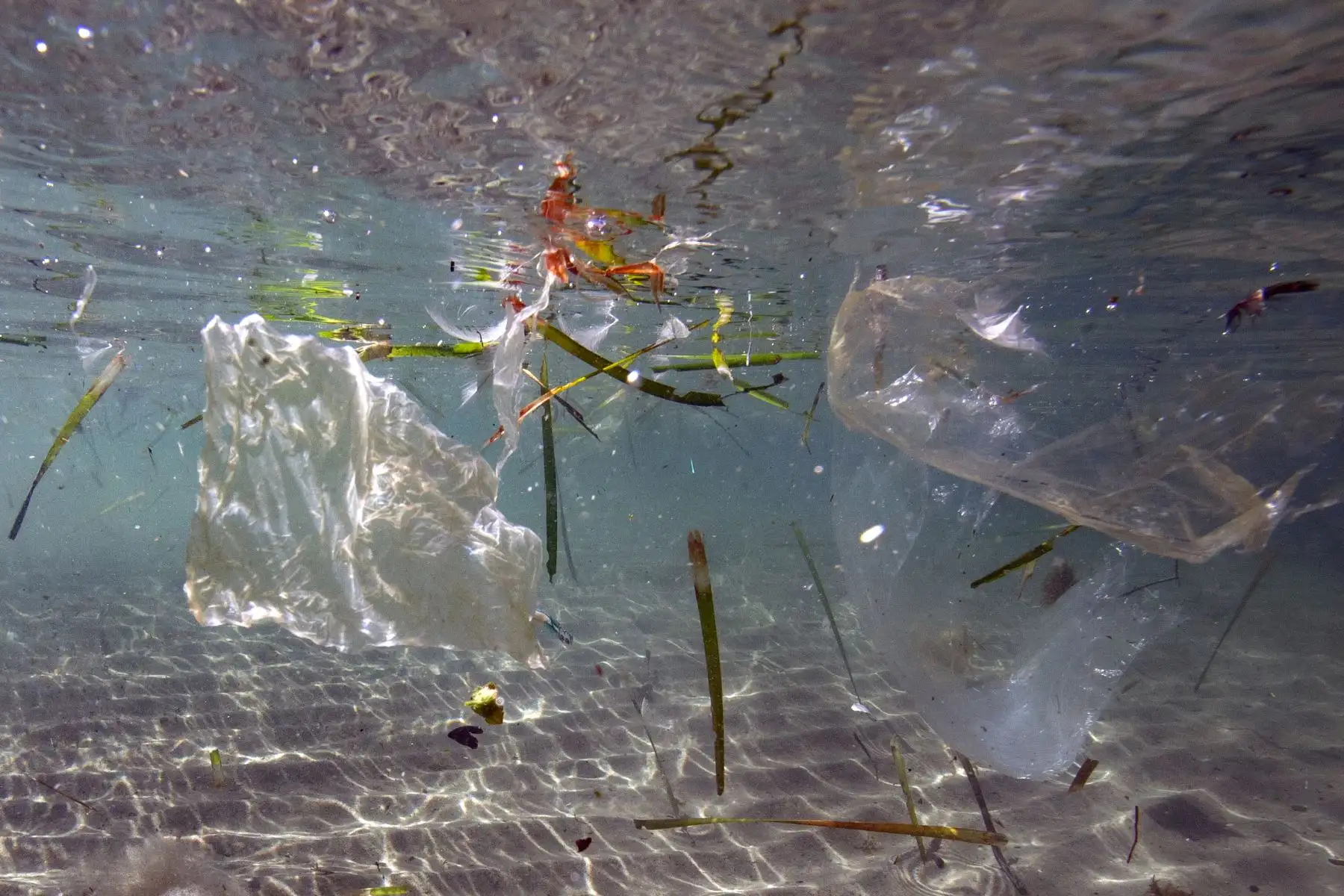 Residuos de plástico que flotan en el mar en Marsella. Francia es el primer productor de residuos plásticos, de los cuales 10.000 toneladas terminan en el mar Mediterráneo, según una encuesta realizada por WWF.