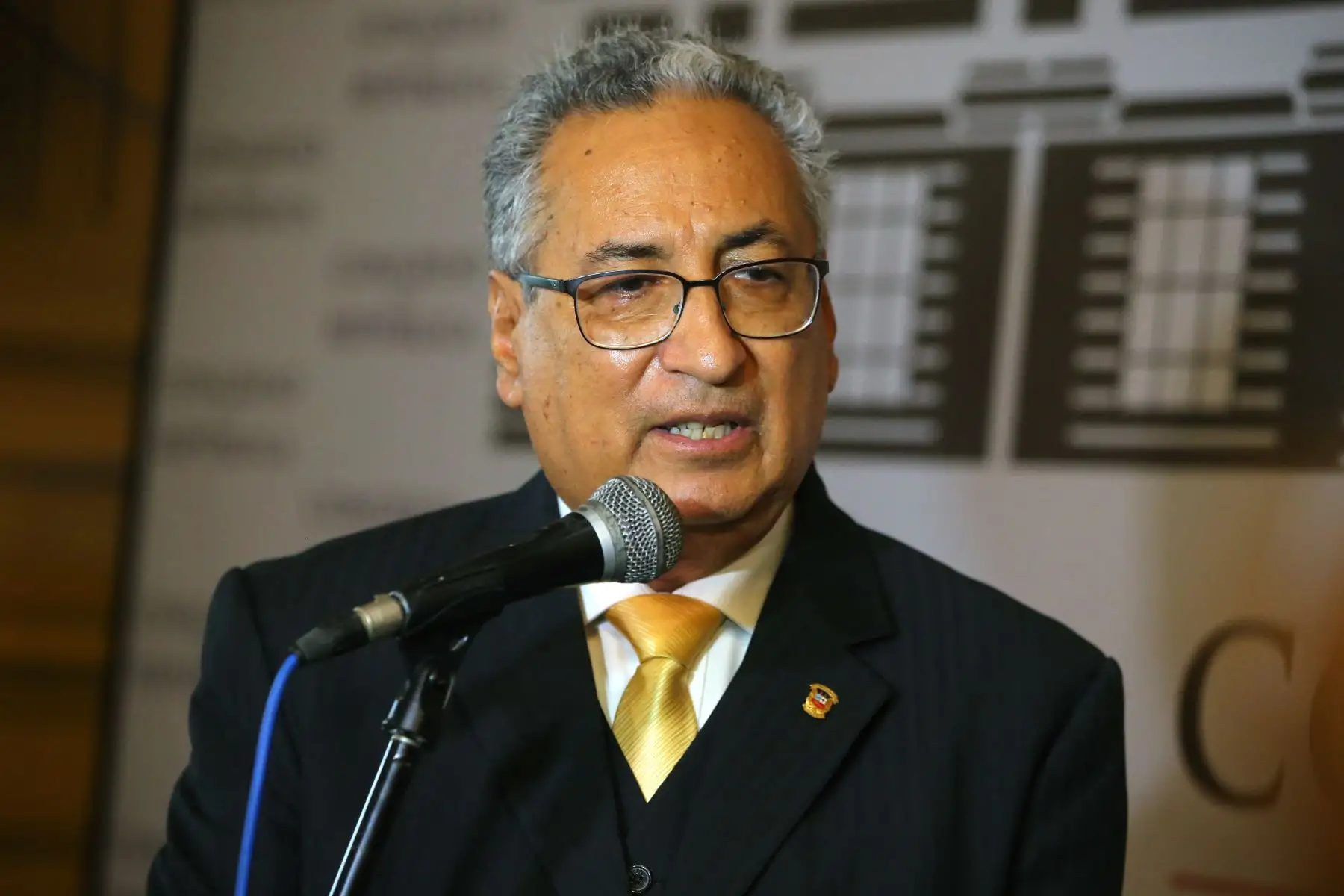 Foto: ANDINA/Vidal Tarqui.