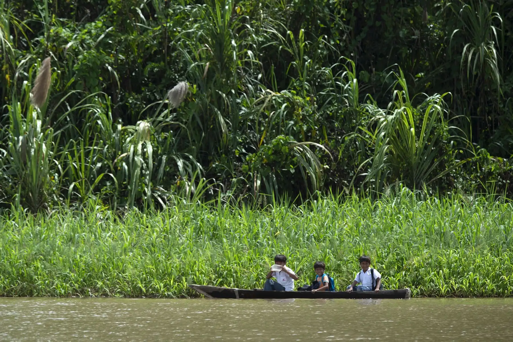 Perú quiere reforzar la protección de sus bosques en la Amazonía. AFP