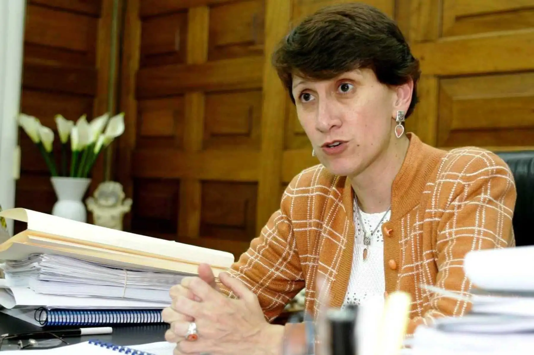 Foto: ANDINA/archivo.