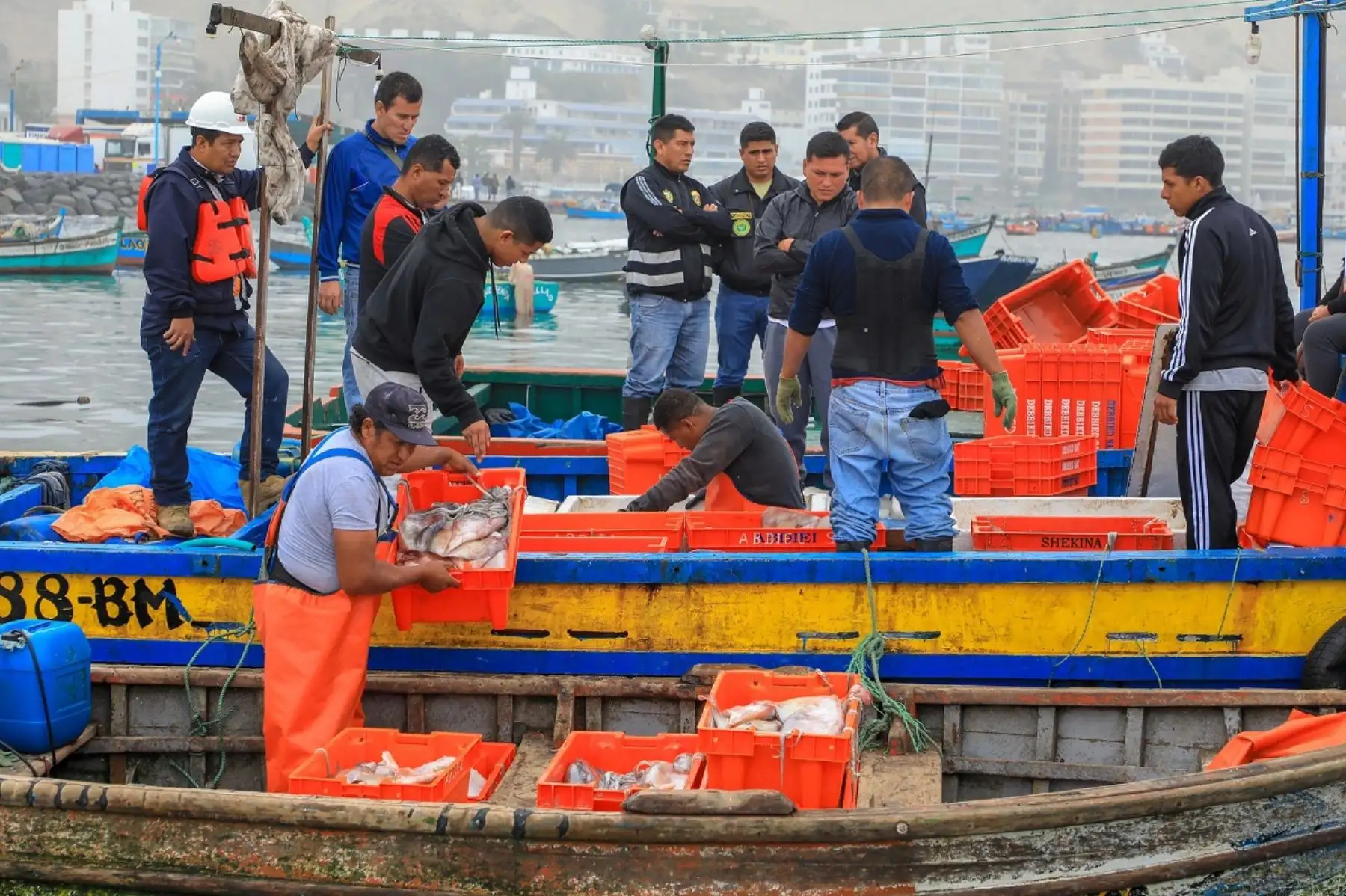 Operativo de fiscalización de pesca ilegal. Foto: Cortesía.
