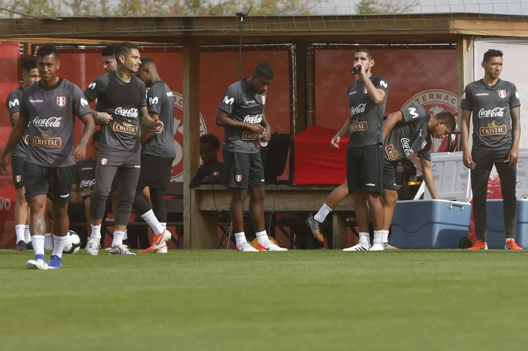 Entrenamiento de la Selección Peruana en Porto Alegre, Brasil. Foto: AFP