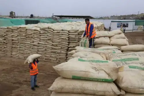 Alrededor de 500 familias agricultoras de Moquegua, dedicadas a la siembra de papa, maíz, habas, palta y otros productos de pan llevar, podrán utilizar el guano de las islas para incrementar y mejorar su calidad de producción.