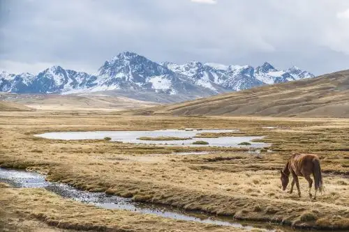 La futura Área de Conservación Regional Ausangate, en Cusco, estará conformada por siete nevados y un glaciar. Foto: ACCA