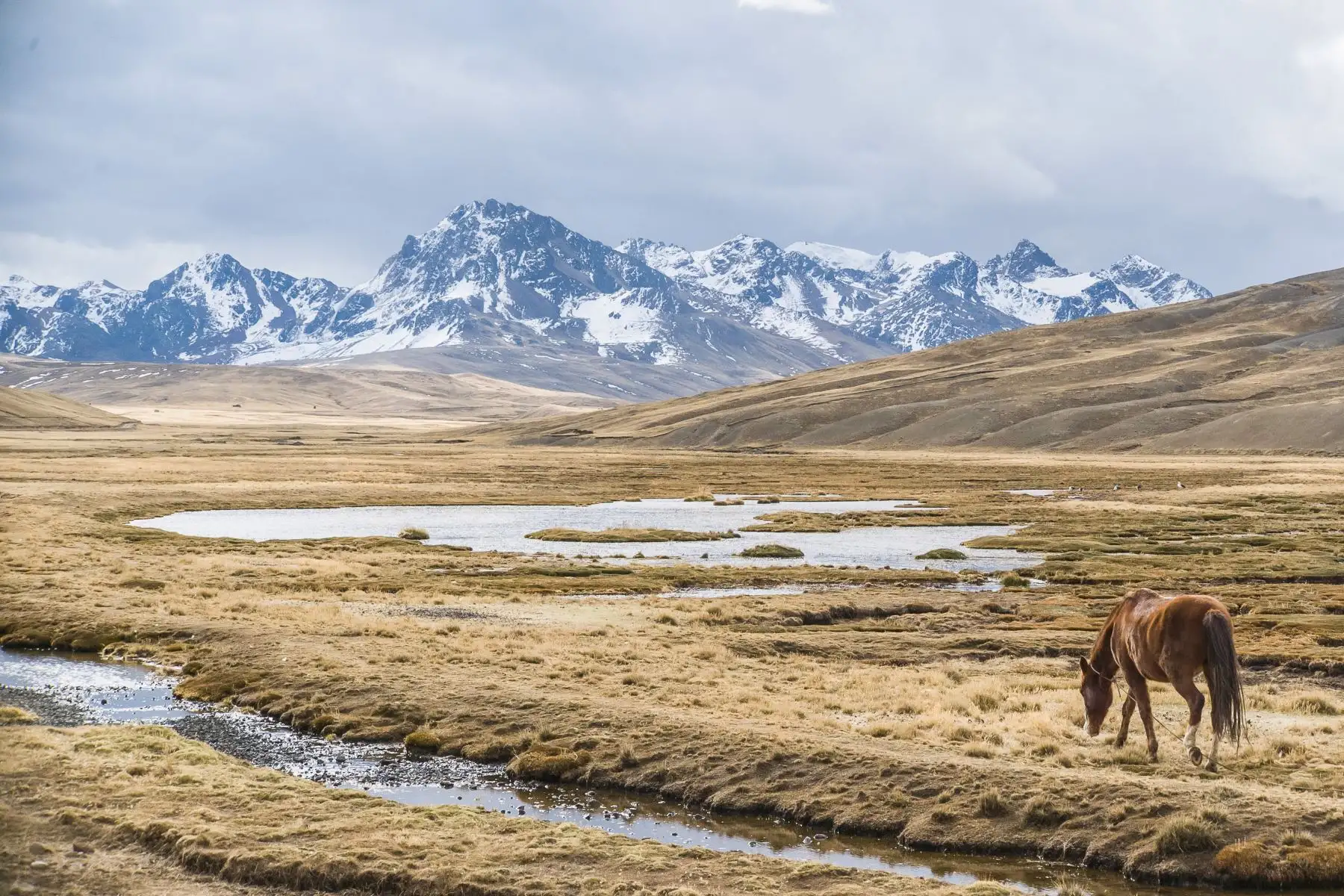 La futura Área de Conservación Regional Ausangate, en Cusco, estará conformada por siete nevados y un glaciar. Foto: ACCA