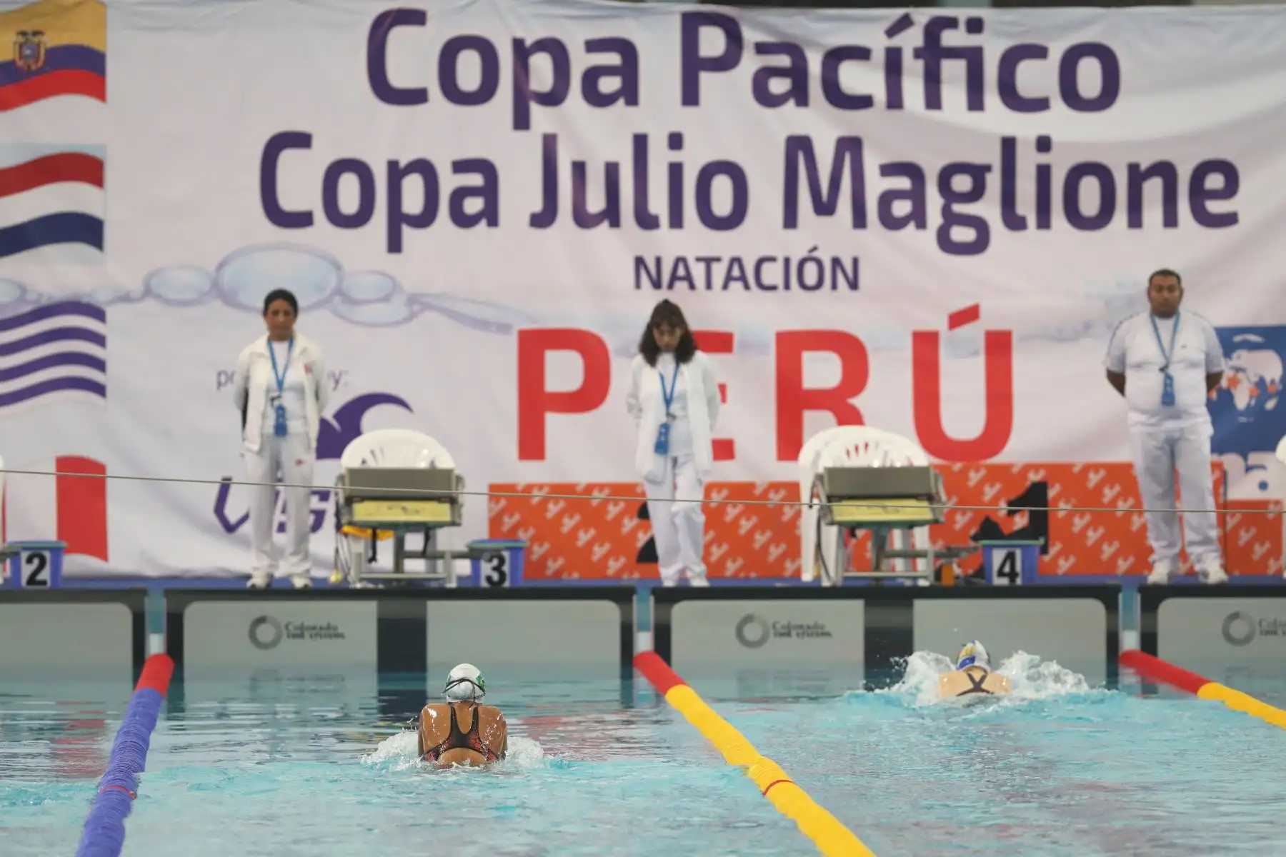 Torneo Copa Pacífico de Natación 2019. Foto: ANDINA/Melina Mejía