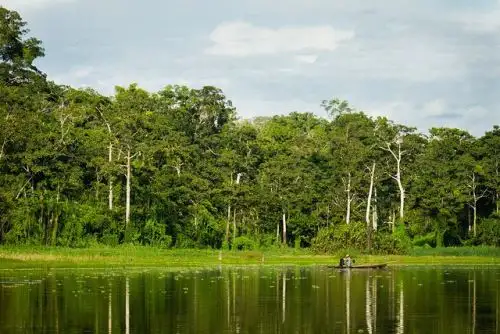 Loreto contará con sistema de información que verificará origen legal de la madera