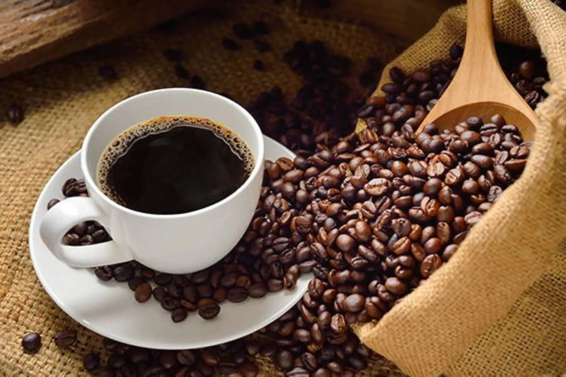 Junín aprueba ordenanza para promover consumo de café en esa región. ANDINA/Difusión