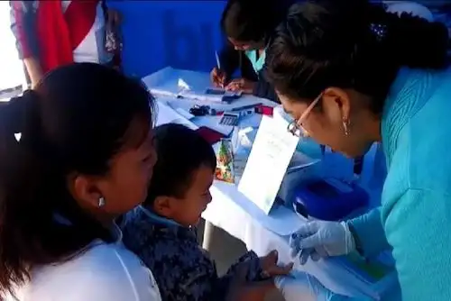 El total de niños menores de cinco años de edad de distritos priorizados de diez regiones del país fueron vacunados contra la influenza y neumonía. ANDINA/Difusión