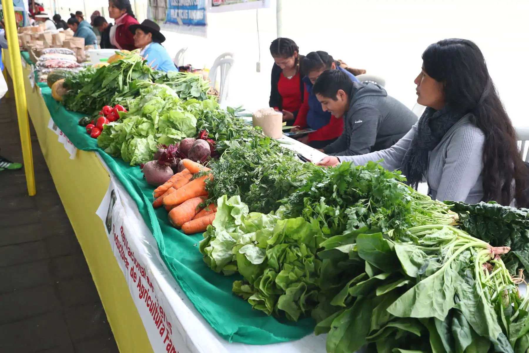 Ministerios de Agricultura y del Ambiente organizan el Festival Nacional de la Biodiversidad donde participan  productores de varias zonas del país, con más de 500 variedades de papas, así como semillas, frutos, ajíes, etc.
Foto: ANDINA/Norman Córdova