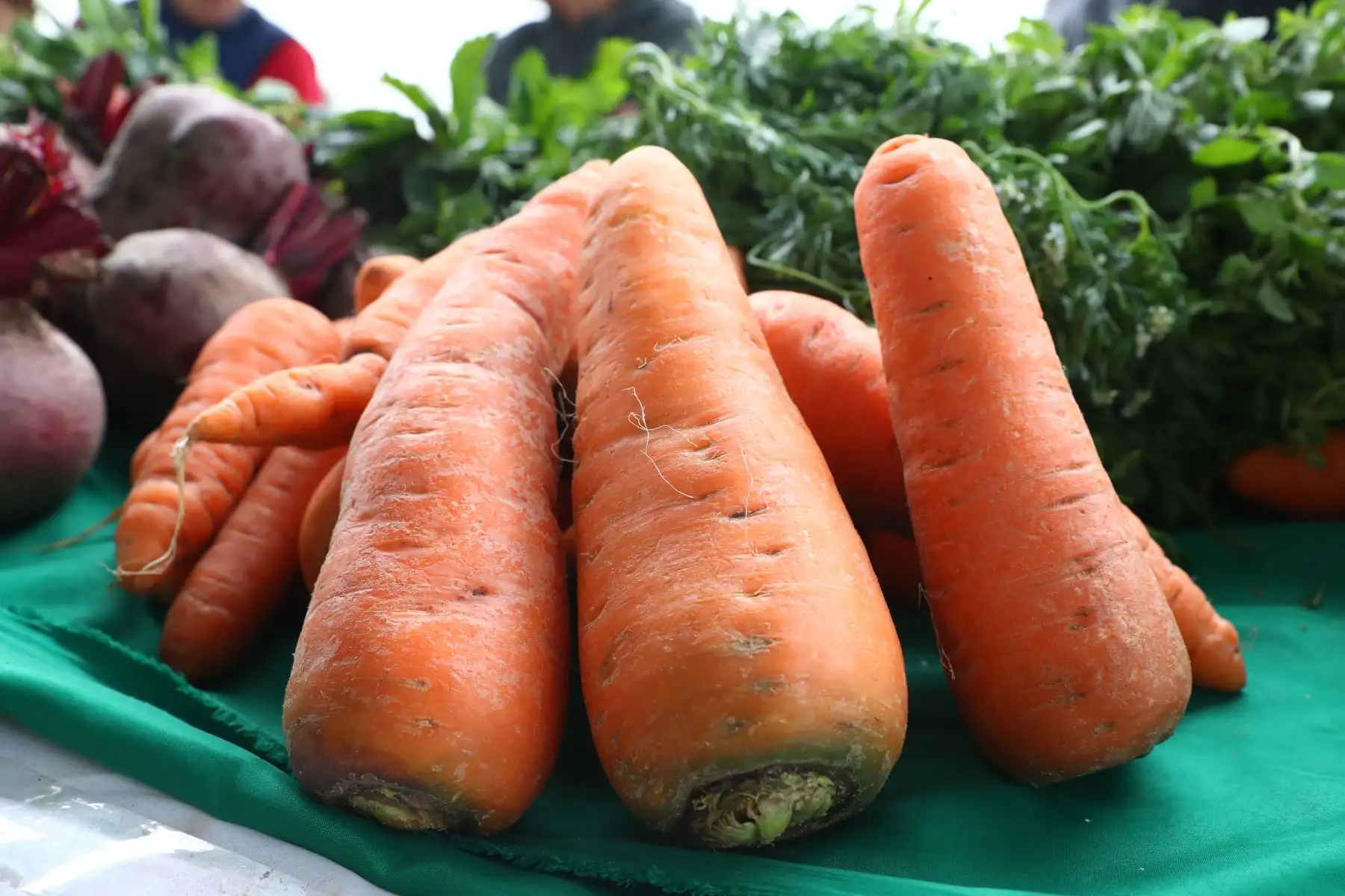 Ministerios de Agricultura y del Ambiente organizan el Festival Nacional de la Biodiversidad donde participan  productores de varias zonas del país, con más de 500 variedades de papas, así como semillas, frutos, ajíes, etc.