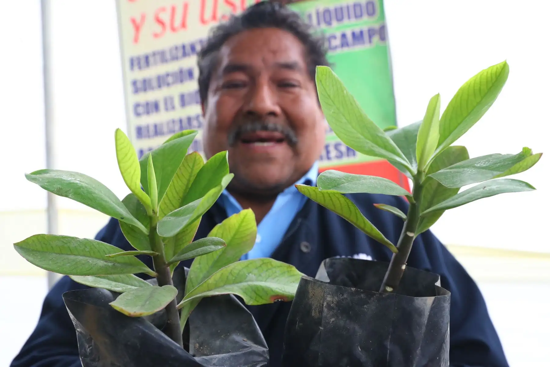 Ministerios de Agricultura y del Ambiente organizan el Festival Nacional de la Biodiversidad donde participan  productores de varias zonas del país, con más de 500 variedades de papas, así como semillas, frutos, ajíes, etc.