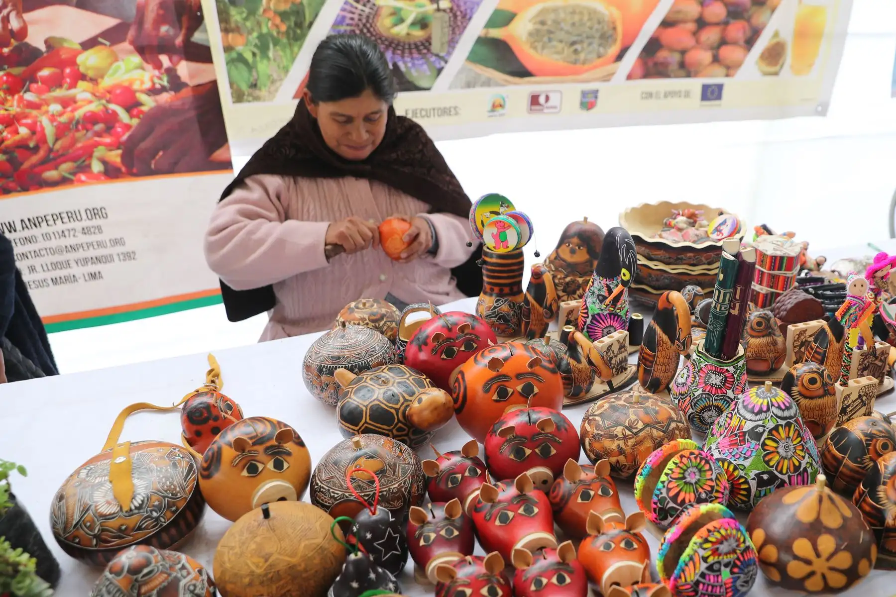 Ministerios de Agricultura y del Ambiente organizan el Festival Nacional de la Biodiversidad donde participan  productores de varias zonas del país, con más de 500 variedades de papas, así como semillas, frutos, ajíes, etc.