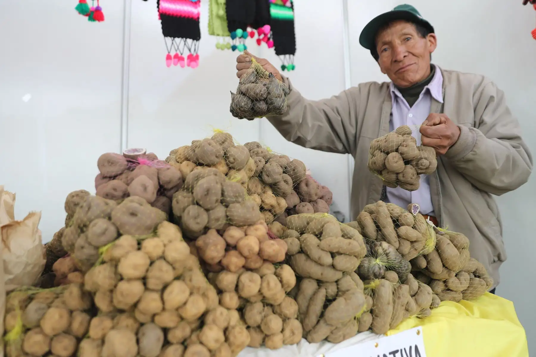 Ministerios de Agricultura y del Ambiente organizan el Festival Nacional de la Biodiversidad donde participan  productores de varias zonas del país, con más de 500 variedades de papas, así como semillas, frutos, ajíes, etc.
