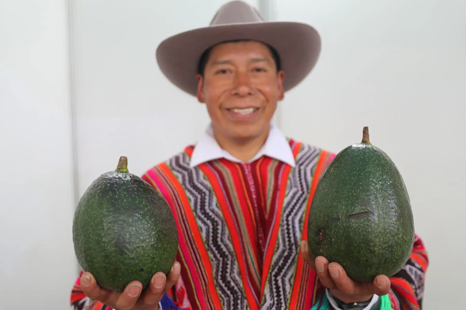 Ministerios de Agricultura y del Ambiente organizan el Festival Nacional de la Biodiversidad donde participan  productores de varias zonas del país, con más de 500 variedades de papas, así como semillas, frutos, ajíes, etc.
