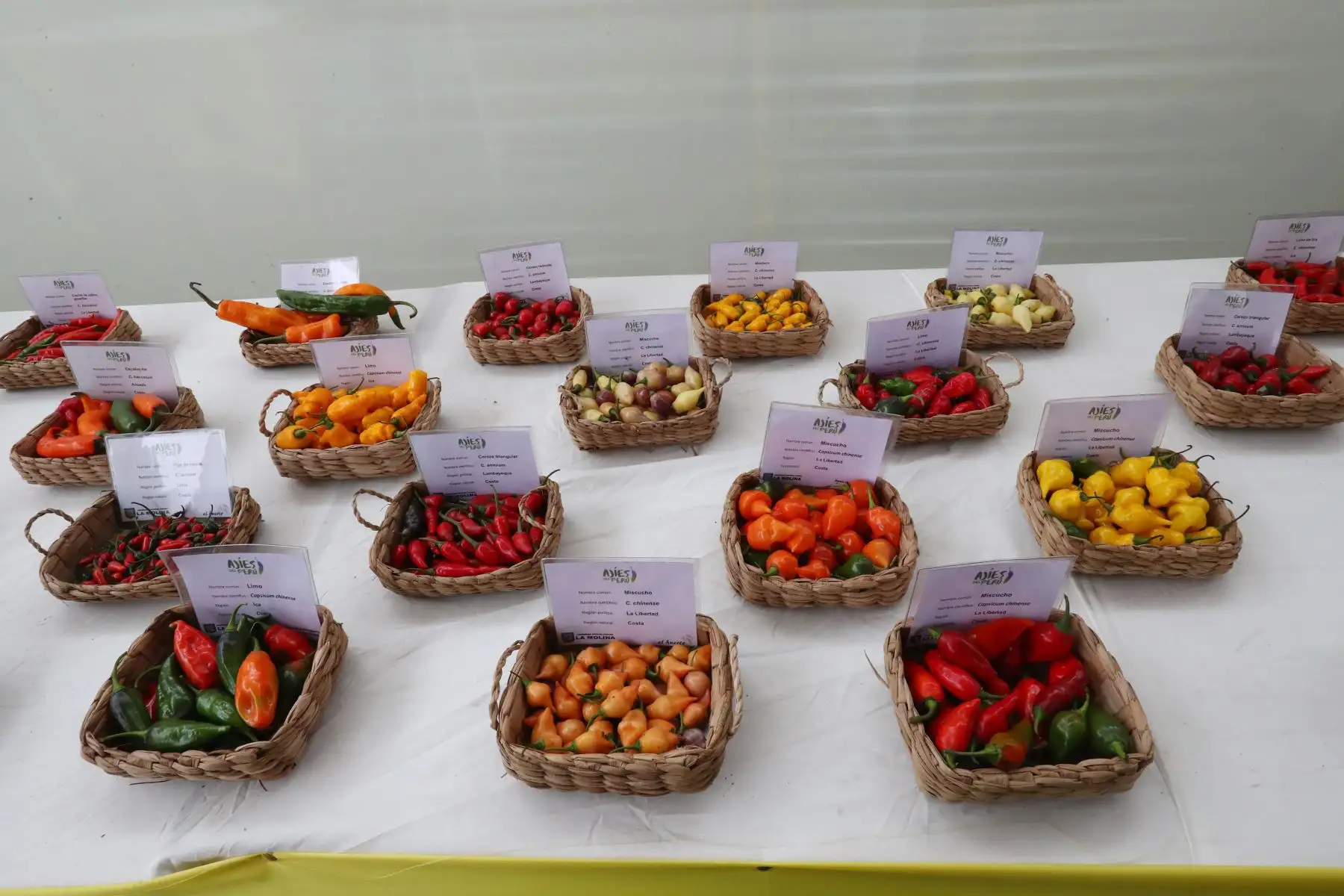 Ministerios de Agricultura y del Ambiente organizan el Festival Nacional de la Biodiversidad donde participan  productores de varias zonas del país, con más de 500 variedades de papas, así como semillas, frutos, ajíes, etc.