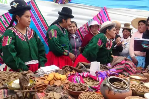 Conoce el quispiño, el nutritivo postre de Puno elaborado con harina de quinua y que se preparará para combatir la anemia y desnutrición infantil. ANDINA