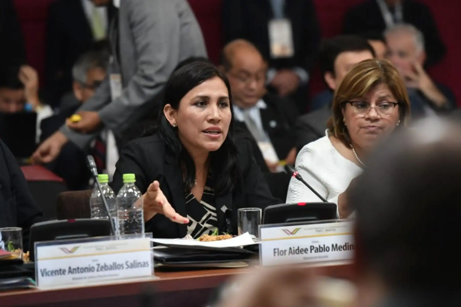 Ministra de Educación	Flor Pablo Medina, exponen durante el V Gabinete Binacional Perú-Bolivia, en Ilo Moquegua.Foto:ANDINA/Prensa Presidencia