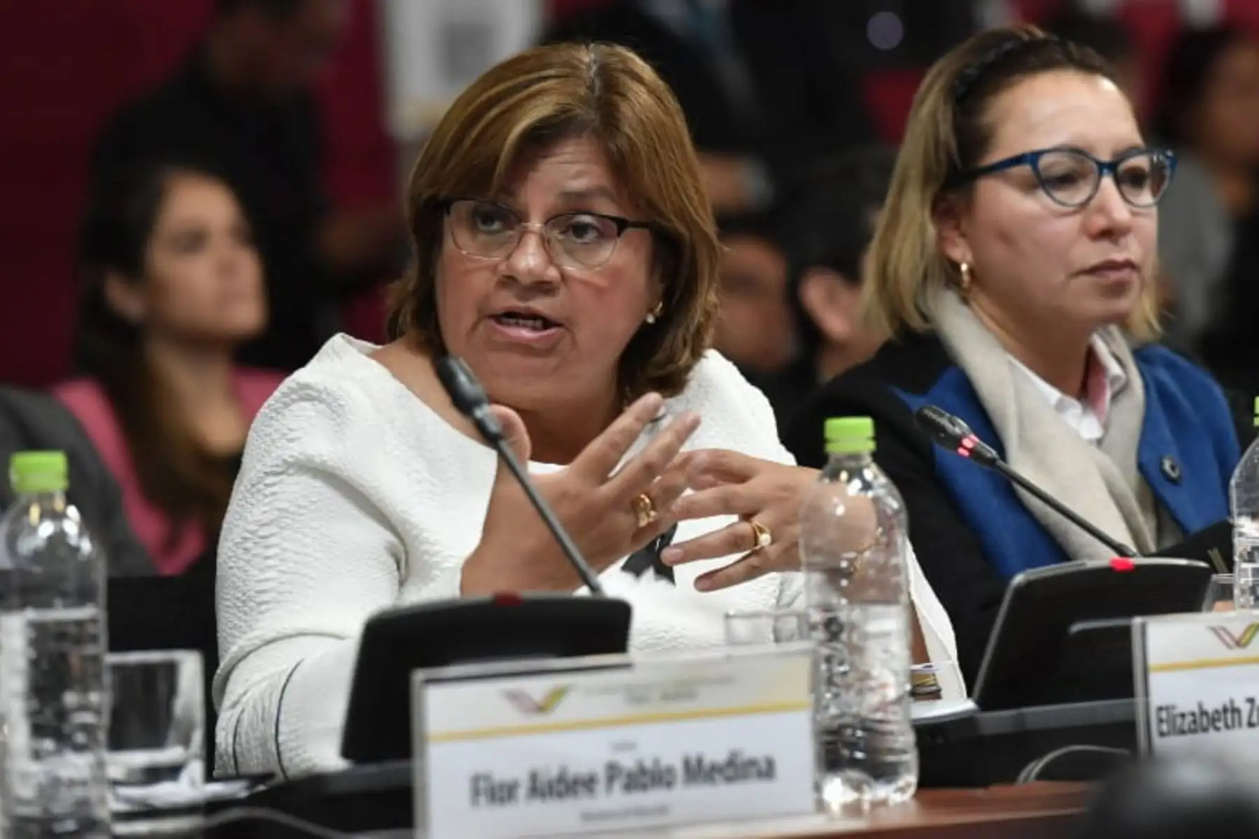 Ministra de Salud	Elizabeth Tomás Gonzáles, expone durante el V Gabinete Binacional Perú-Bolivia, en Ilo Moquegua.Foto:ANDINA/Prensa Presidencia