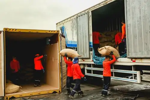 Productores de Madre de Dios exportan por primera vez 25 toneladas de cacao a Italia.