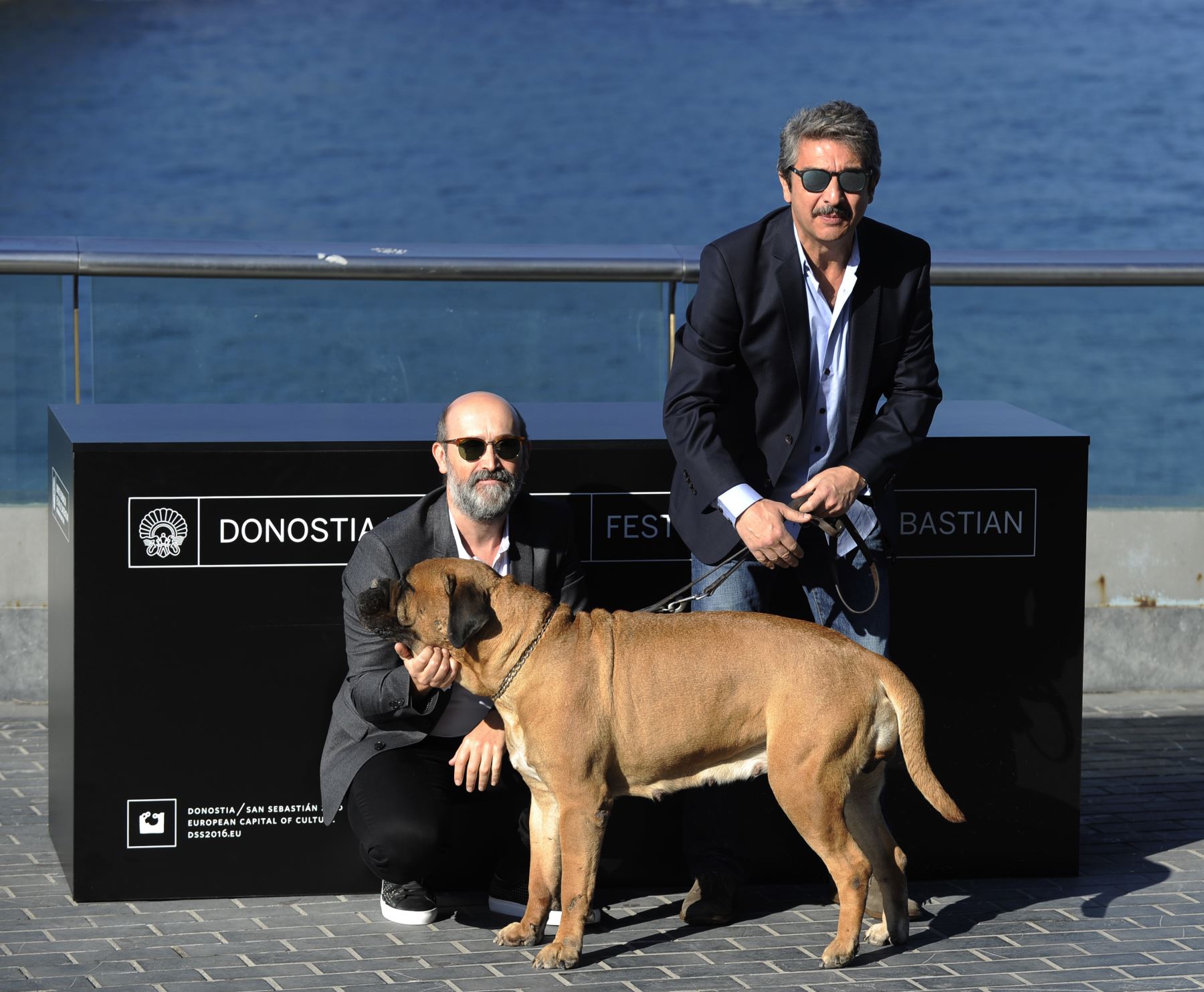 El actor argentino Ricardo Darin (R) y el actor español Javier Camara posan con un perro para una sesión de fotos de su último filme "Truman" durante el 63º Festival de Cine de San Sebastián, en la ciudad vasca del norte de España, San Sebastián.
Foto: AFP