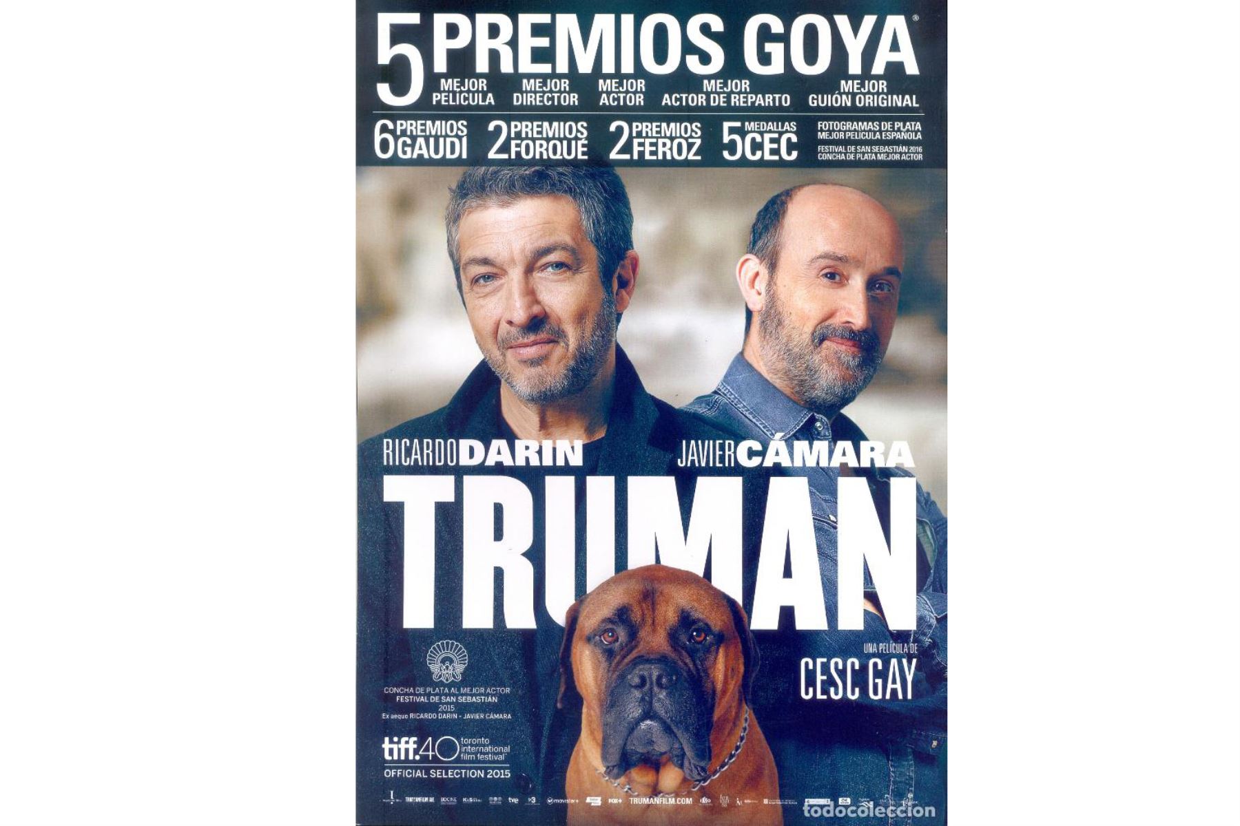 Truman es una película española-argentina de drama de 2015 coescrita y dirigida por Cesc Gay y protagonizada por Ricardo Darín.
Foto: Difusión