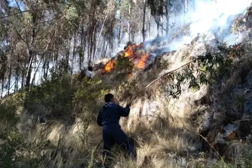 Soldados y bomberos se suman a la lucha contra un incendio forestal que se registra en la provincia de Acomayo, en Cusco. ANDINA/Difusión