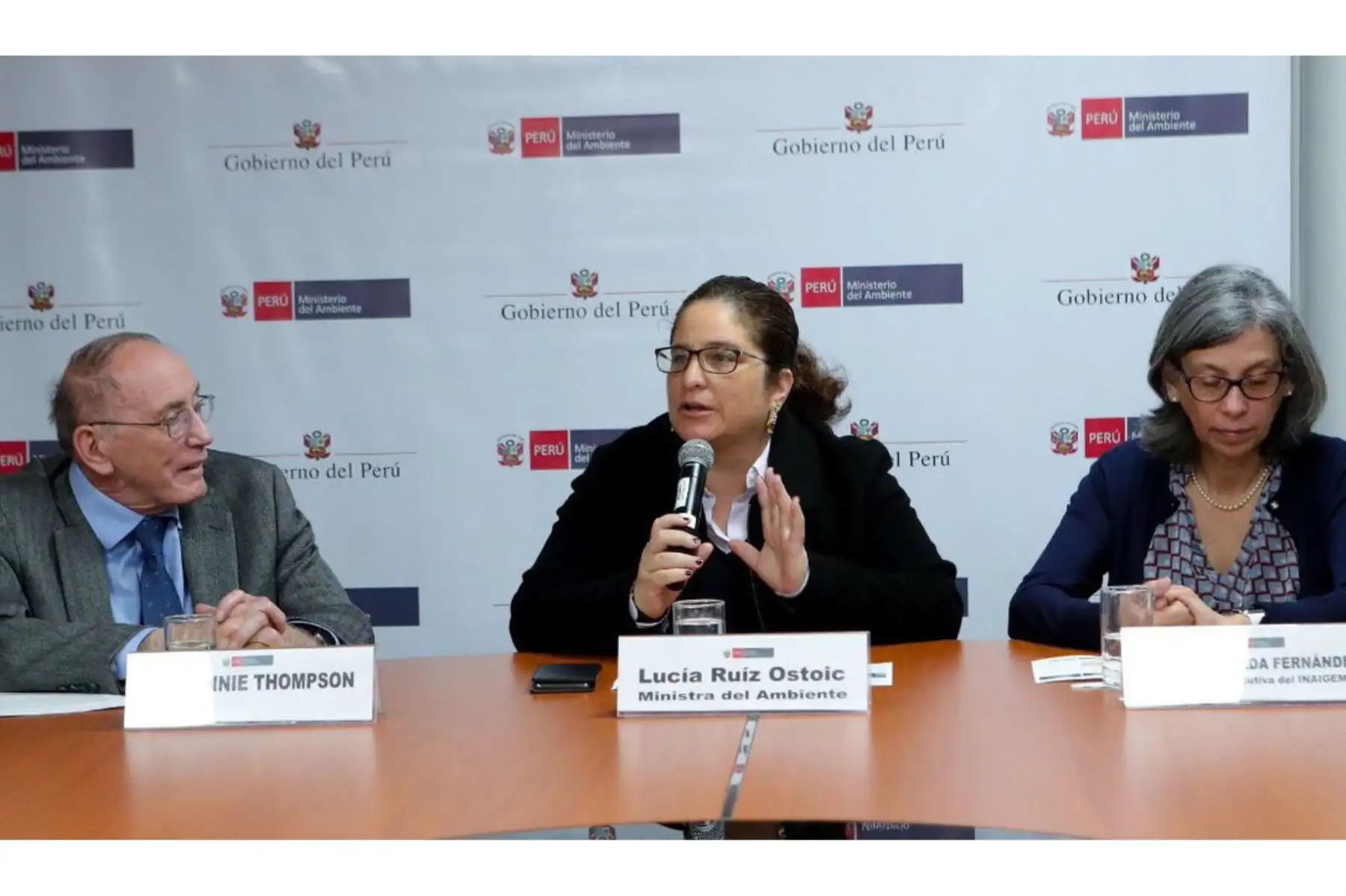 Proyecto Huascarán ayudará a conocer mejor El Niño costero y el cambio climático, así como a generar mejores políticas públicas frente a estos fenómenos, sostuvo la ministra del Ambiente, Lucía Ruíz.
