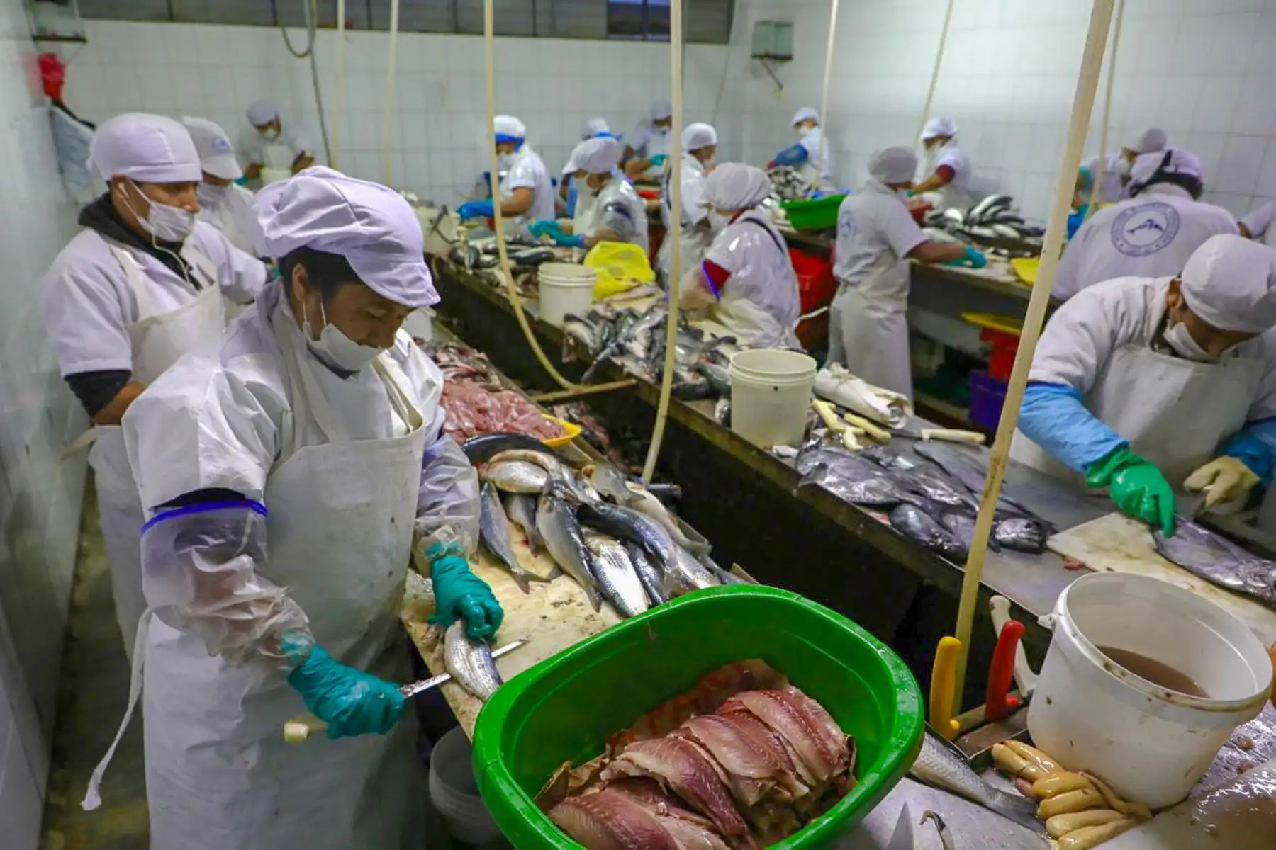 Ministra de la Producción, Rocío Barrios, recorre el terminal pesquero de Ventanilla para supervisar la venta de pescado fresco en el marco del Día Del Cebiche. Foto: ANDINA/Difusión