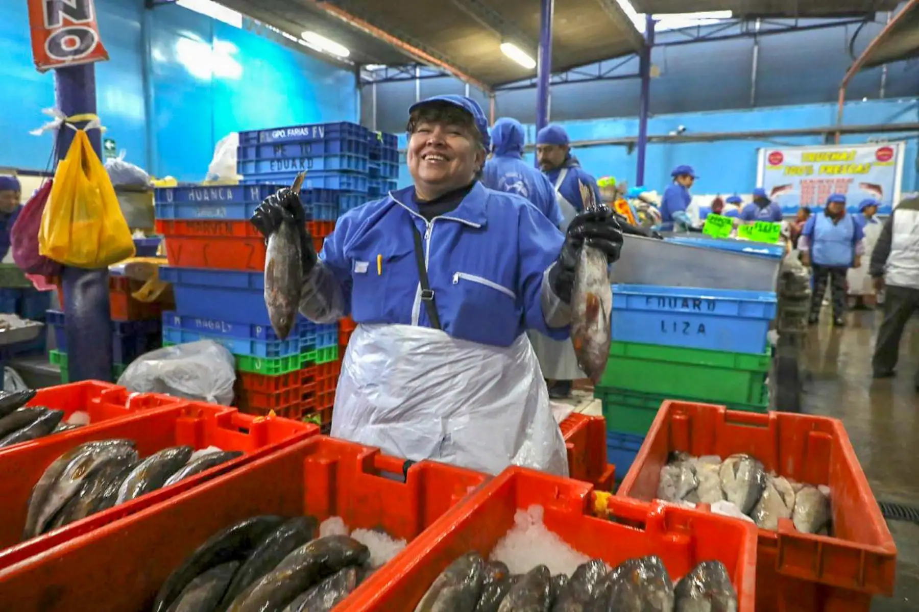 Ministra de la Producción, Rocío Barrios, recorre el terminal pesquero de Ventanilla para supervisar la venta de pescado fresco en el marco del Día Del Cebiche. Foto: ANDINA/Difusión