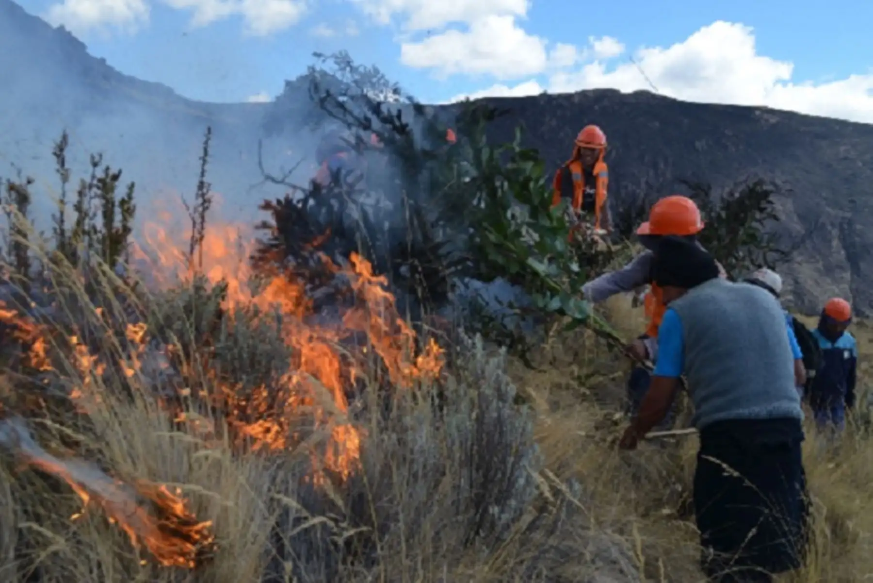 En 17 regiones se han detectado 178 focos de calor, situación que provocaría la ocurrencia de incendios forestales como los que se registraron en diversas partes del país en los últimos días, informó el Servicio Nacional Forestal y de Fauna Silvestre (Serfor) a través de su unidad de monitoreo satelital.ANDINA/Difusión