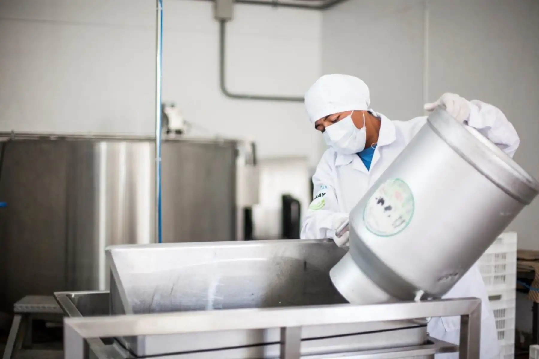 Con planta procesadora de leche impulsan producción de quesos y otros derivados lácteos en Cajamarca. ANDINA/Archivo