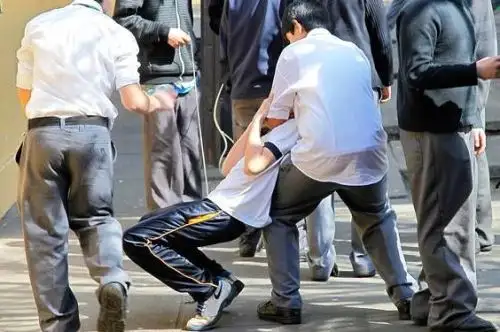 Minedu: colegios registraron 520 casos de violencia por orientación sexual. Foto: ANDINA/Minedu.