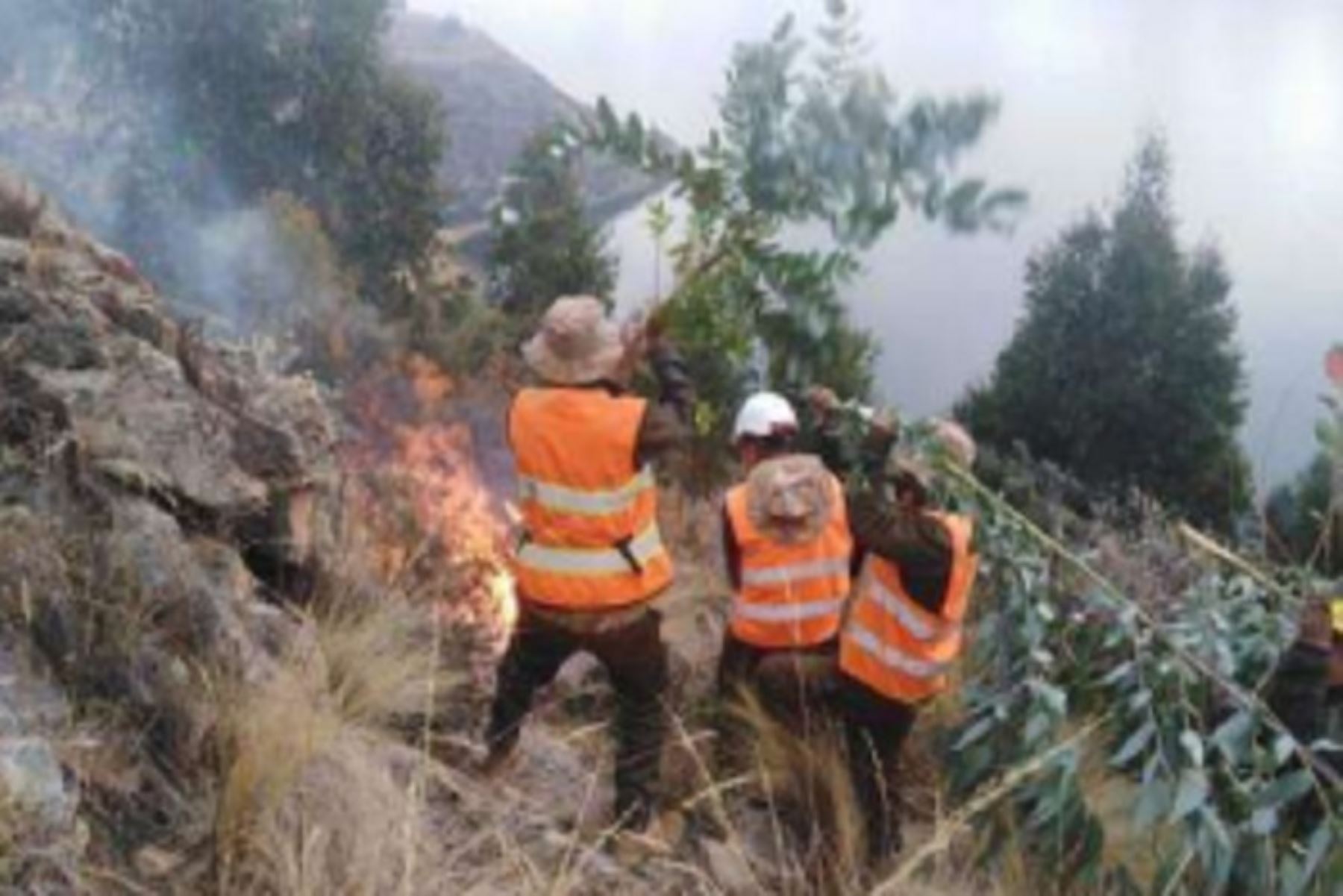 Recolectan rehidratantes y alimentos en Cusco para ayudar a los voluntarios que combaten incendios forestales. ANDINA/Difusión