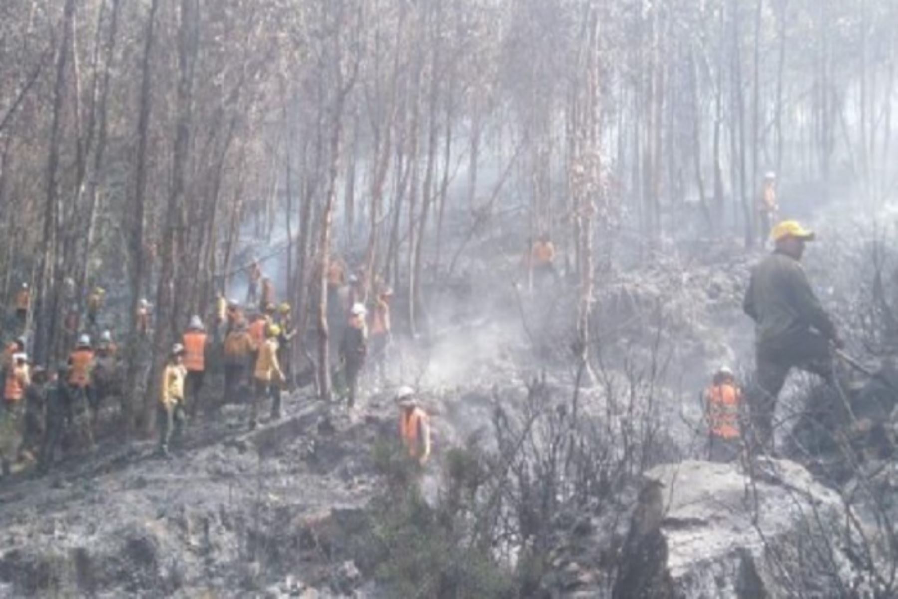 Ya fue controlado el incendio forestal que se registra desde el 26 de junio en los distritos de Pomacanchi y Acopia, provincia de Acomayo, en Cusco, informó el Servicio Nacional Forestal y de Fauna Silvestre (Serfor); sin embargo, aún se continúa trabajando en la zona hasta su extinción total.