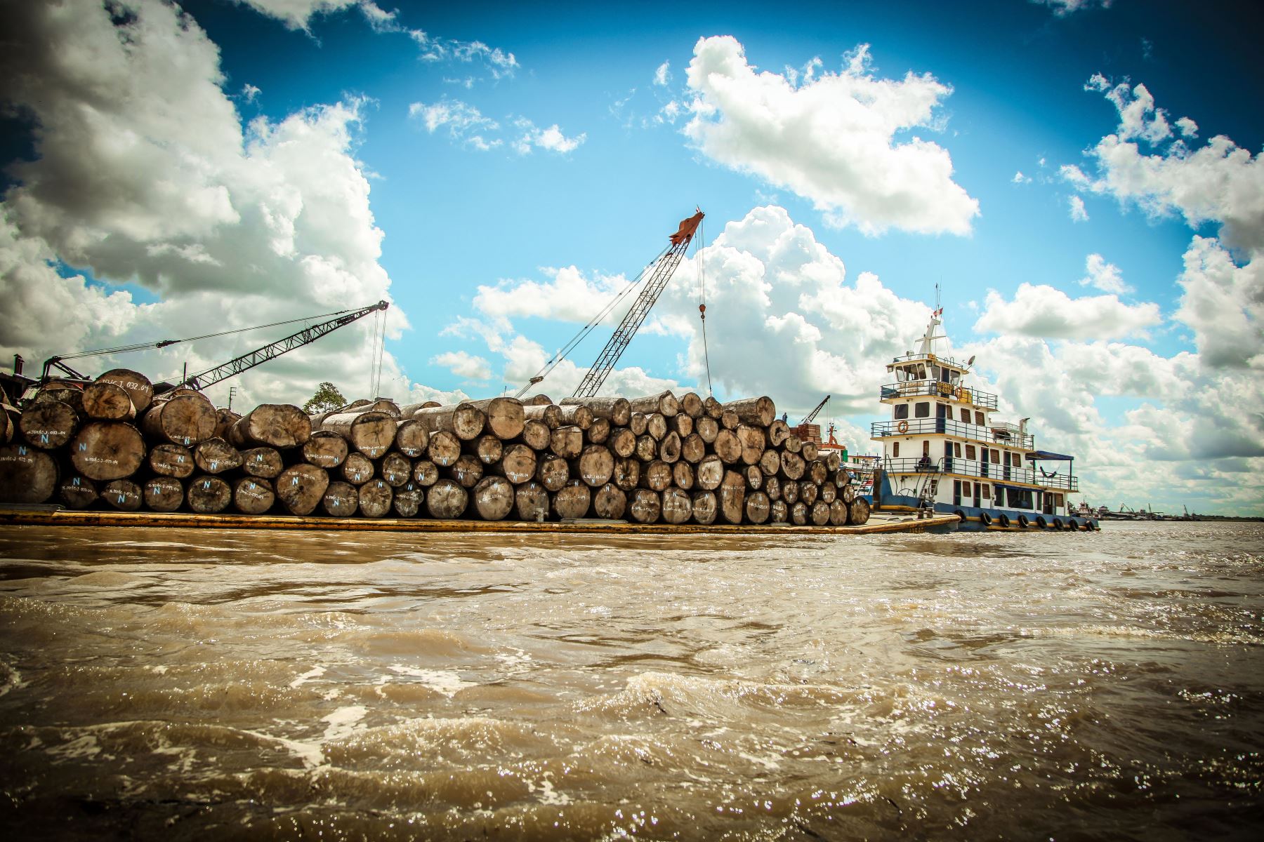 Autoridades promueven la cadena de valor de la madera legal en la región Ucayali. ANDINA/Difusión