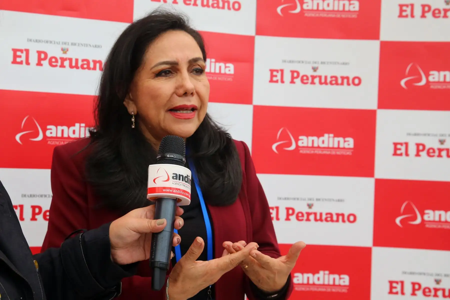 Foto: ANDINA/Vidal Tarqui
