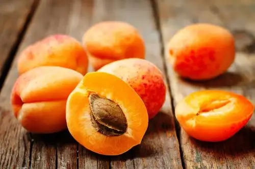 Inacal promueve en Moquegua estándares de calidad en la producción agrícola del damasco.