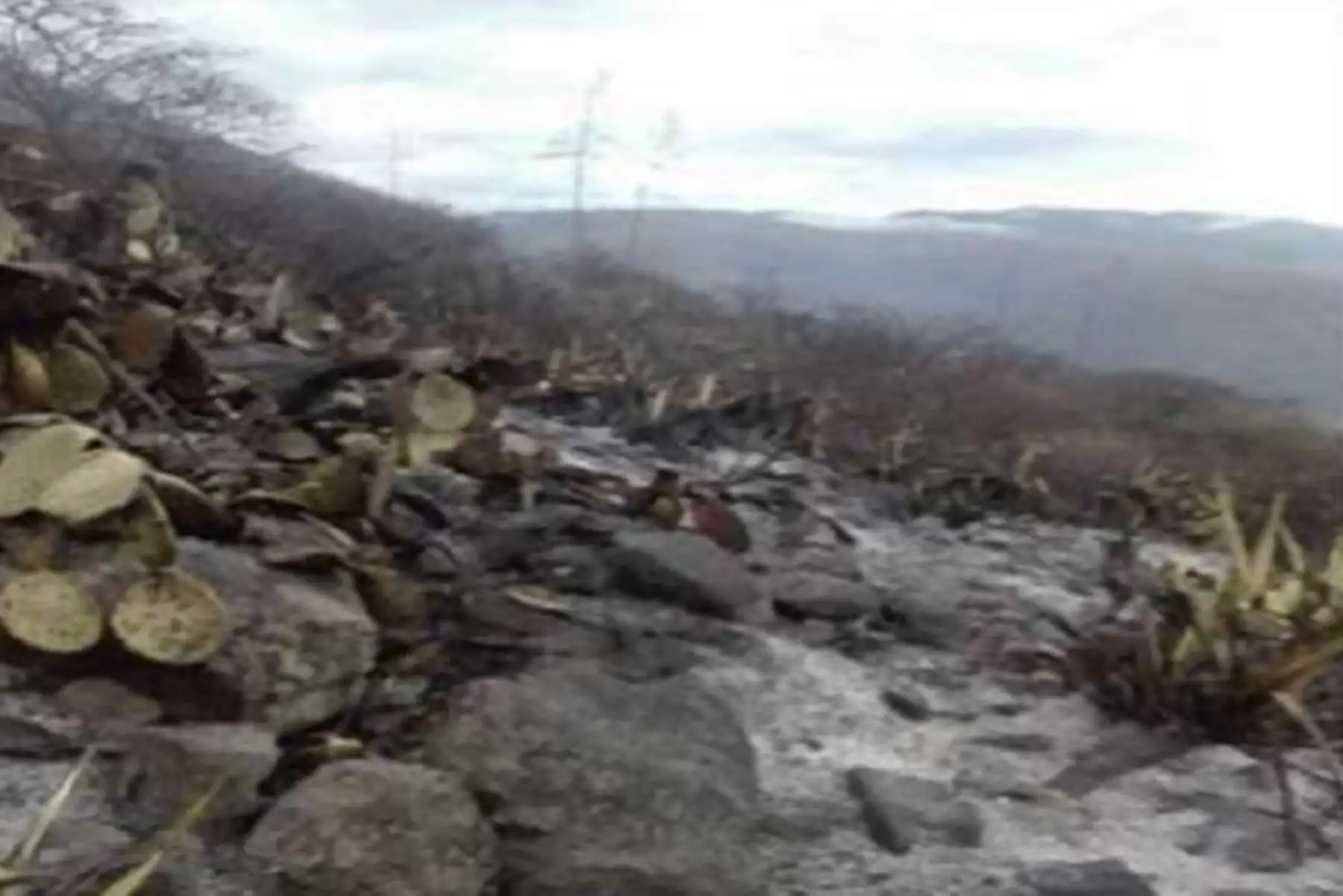 Esta mañana fue extinguido el incendio forestal que se desató en la víspera en el sector San Gabriel, distrito y provincia de Abancay, región Apurímac, y que afectó 5 hectáreas de cobertura natural, informó el Instituto Nacional de Defensa Civil (Indeci).