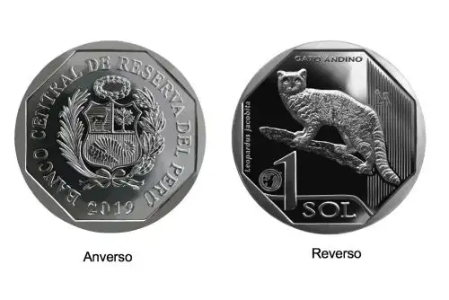 Foto: ANDINA/Difusión.