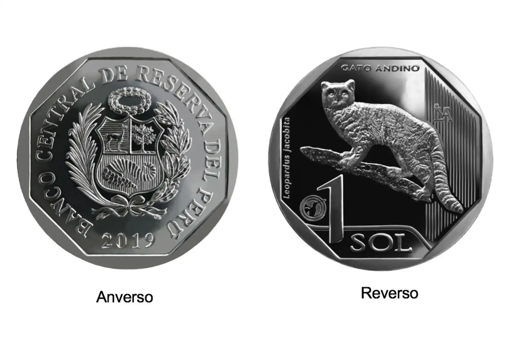 Foto: ANDINA/Difusión.