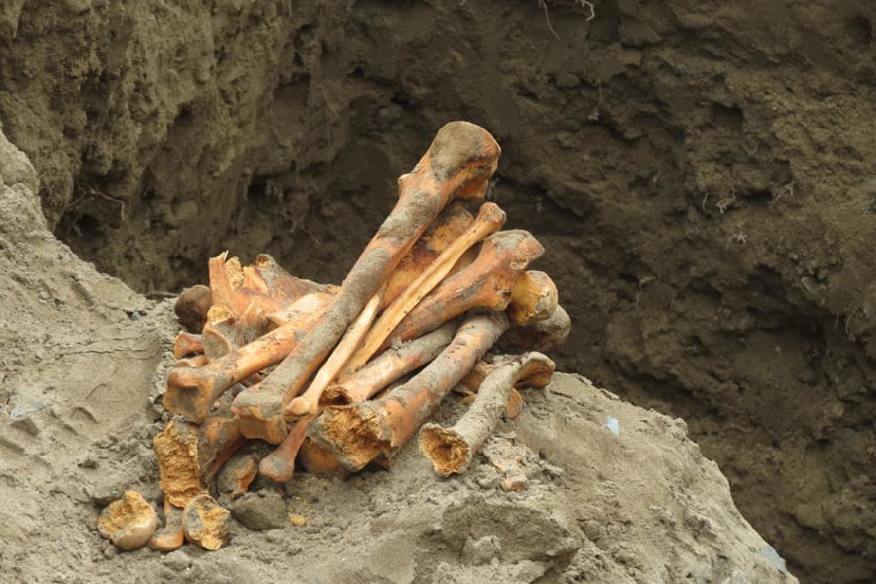 Hallan restos óseos de entierro prehispánico en distrito de Coishco. Foto: Cortesía Jimmy Jackson Inca