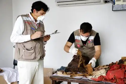 Autoridades del Ministerio de Cultura recuperan 257 textiles Paracas y de otras culturas prehispánicas. ANDINA/Difusión