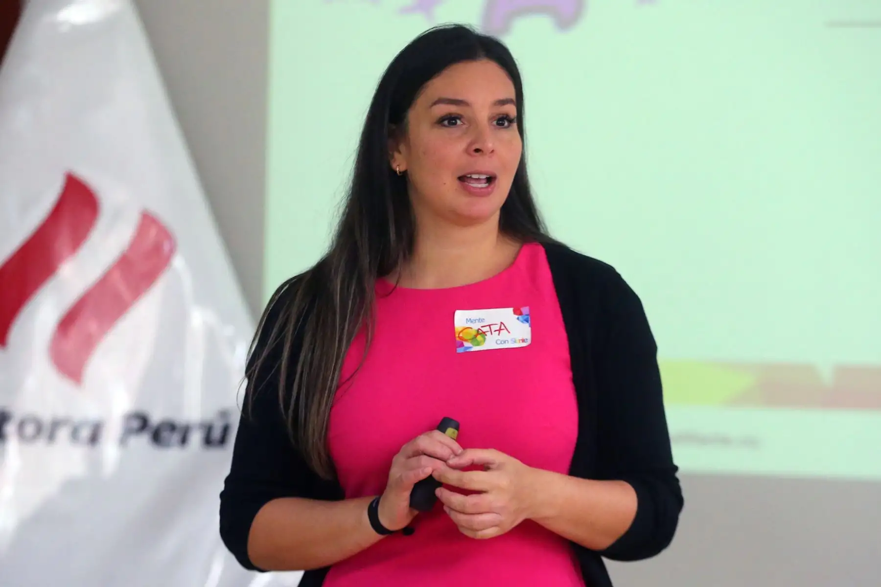 Foto: ANDINA/Vidal Tarqui